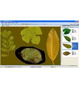 LA-S型植物葉面積、病斑、蟲損、葉色分檔分析儀系統